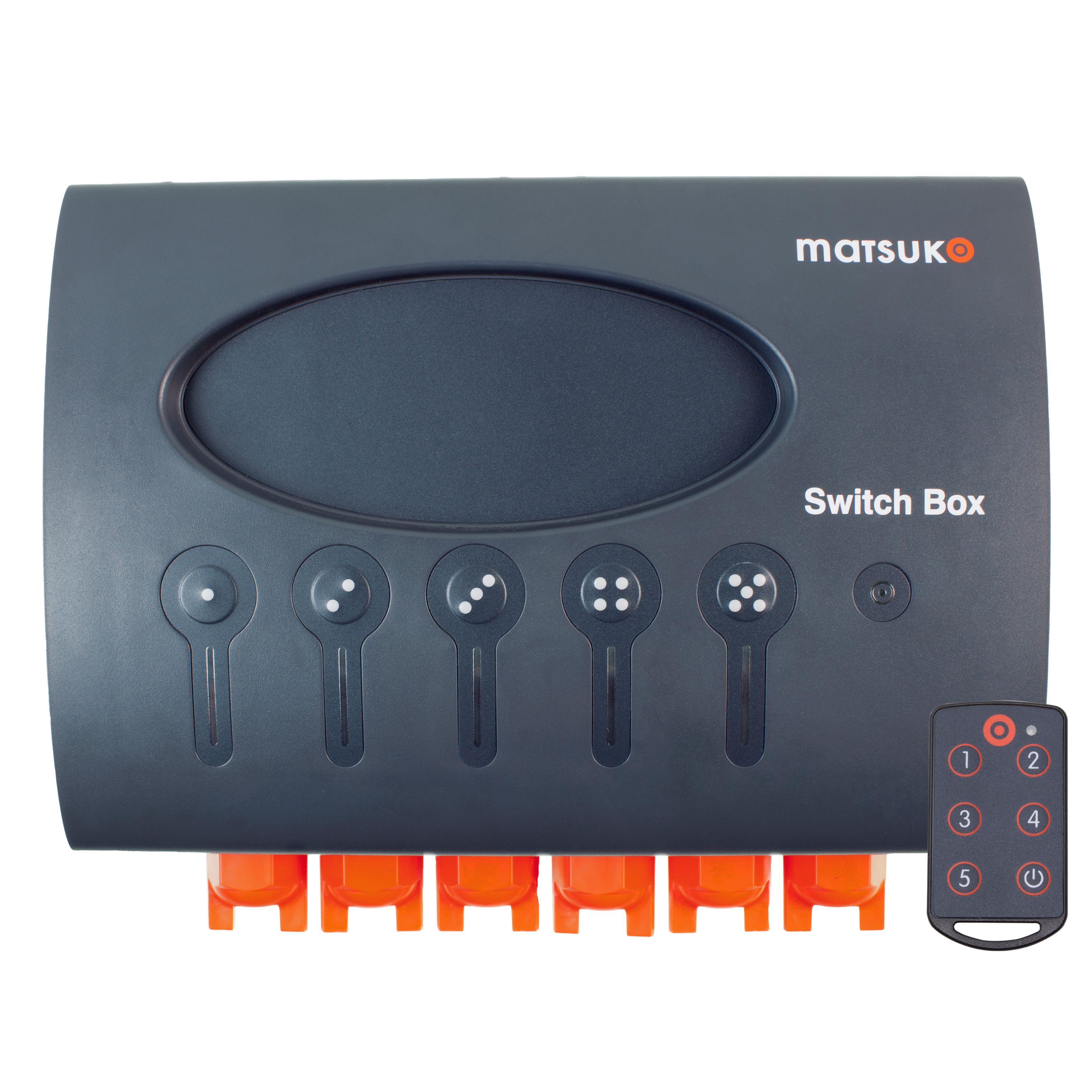 Switch Box + Remote